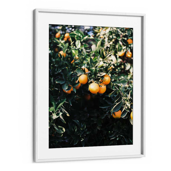 MARRAKESH ORANGES , PHOTOGRAPHY PRINTS