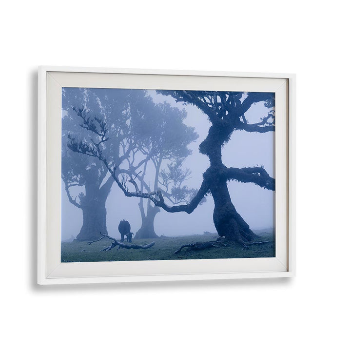 BLUE ENT , LANDSCAPE PHOTO PRINTS , LANDSCAPE PHOTOGRAPHY