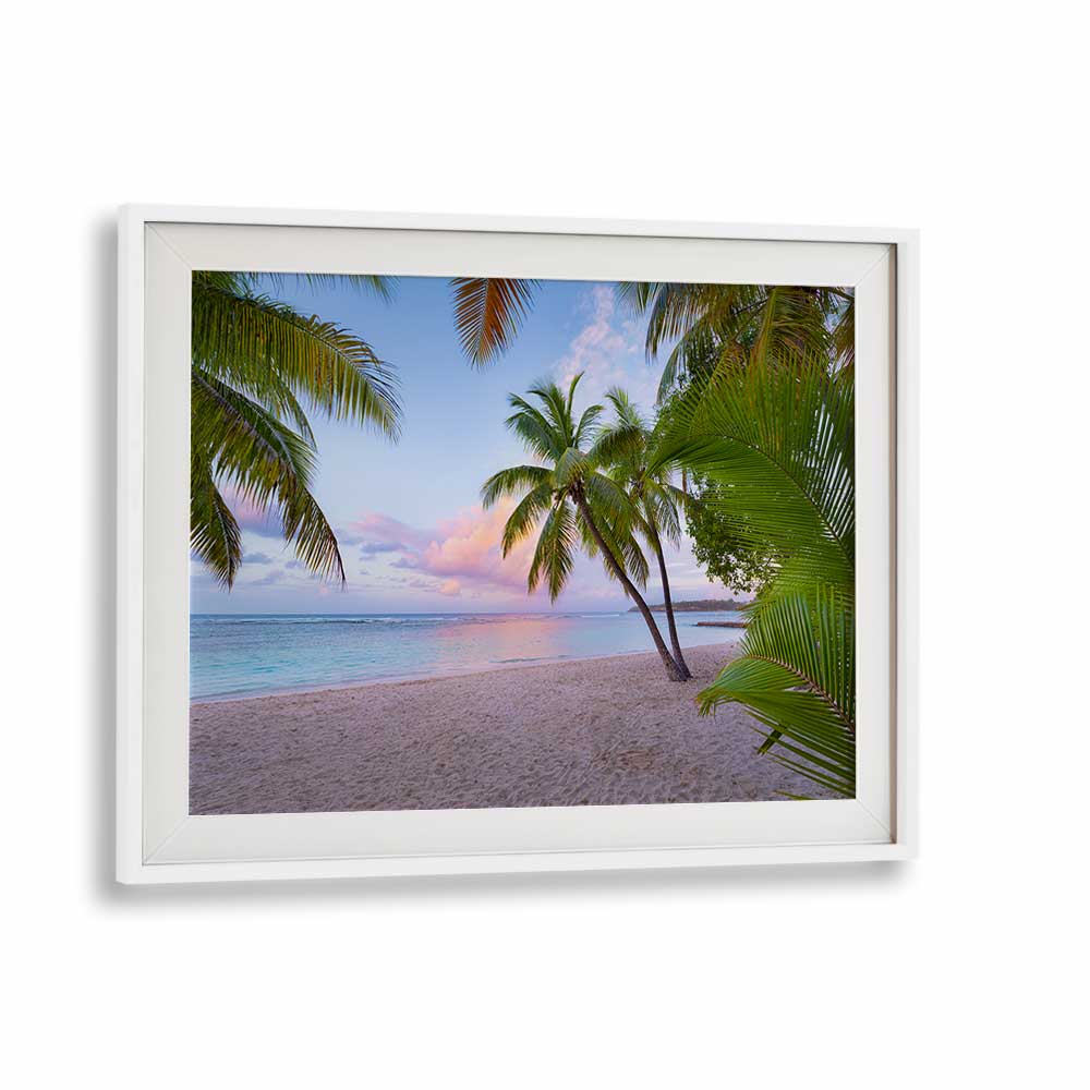 TROPICAL BEACH BY STEFAN HEFELE , LANDSCAPE PHOTO PRINTS