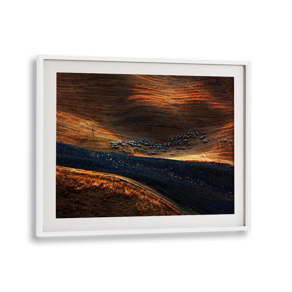 IL GREGGE , PHOTOGRAPHY PRINTS
