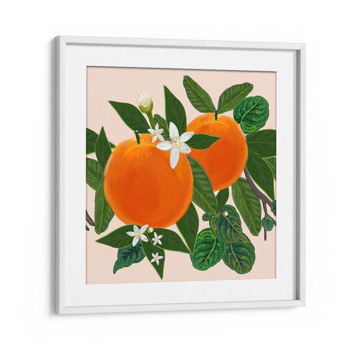 ORANGES , KITCHEN POSTERS