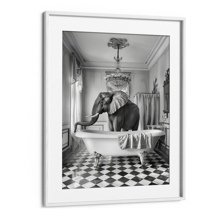 A BATHROOM OCCUPIED