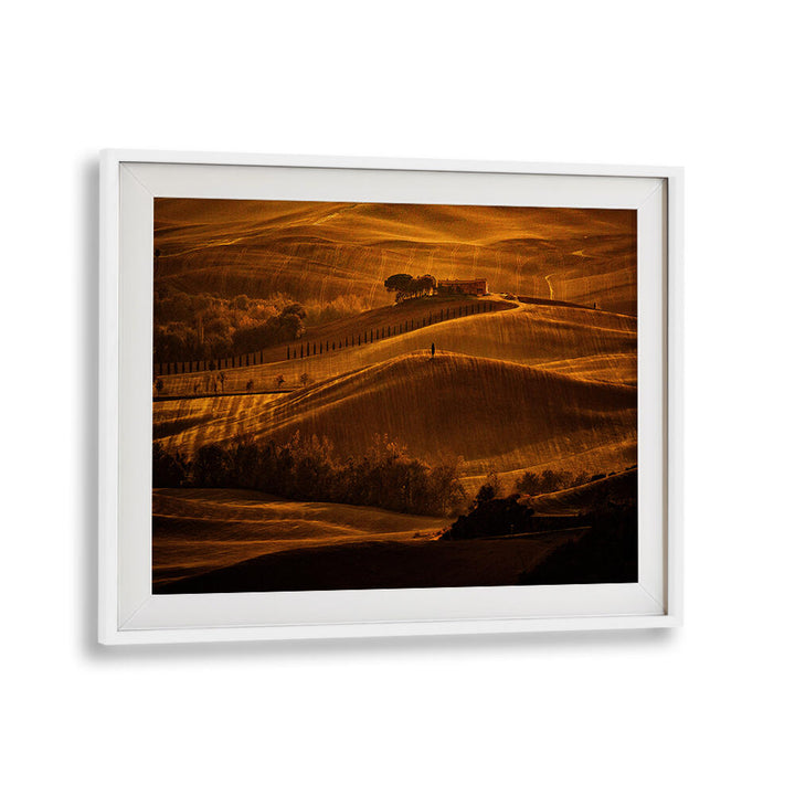 IL CIPRESSO , PHOTOGRAPHY PRINTS
