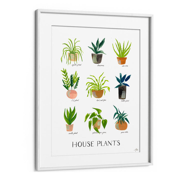 HOUSEPLANTS , FLORAL FLOWER PAINTINGS