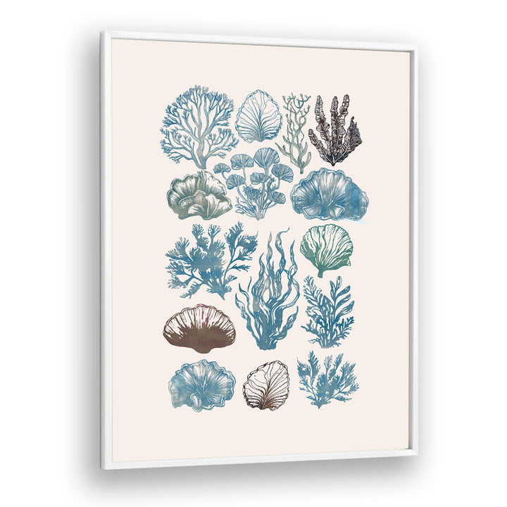 Stunning artwork from A CORAL COLLECTION, BEACH PAINTINGS, showcasing beautiful coral designs in vibrant colors.