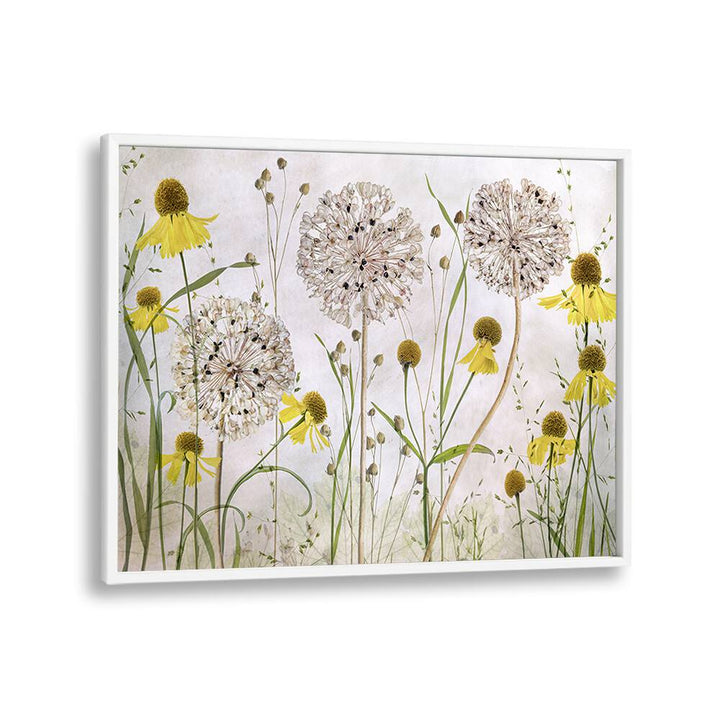 Vibrant ALLIUMS AND HELENIUMS, FLORAL FLOWER PAINTINGS bring beauty to any garden or arrangement. Perfect for decor.