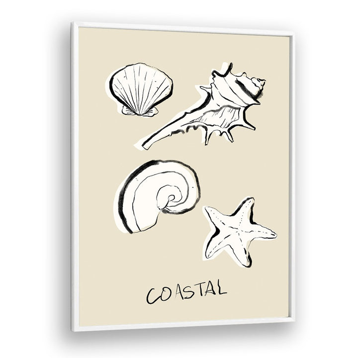 COASTAL SHELLS AND STARFISH