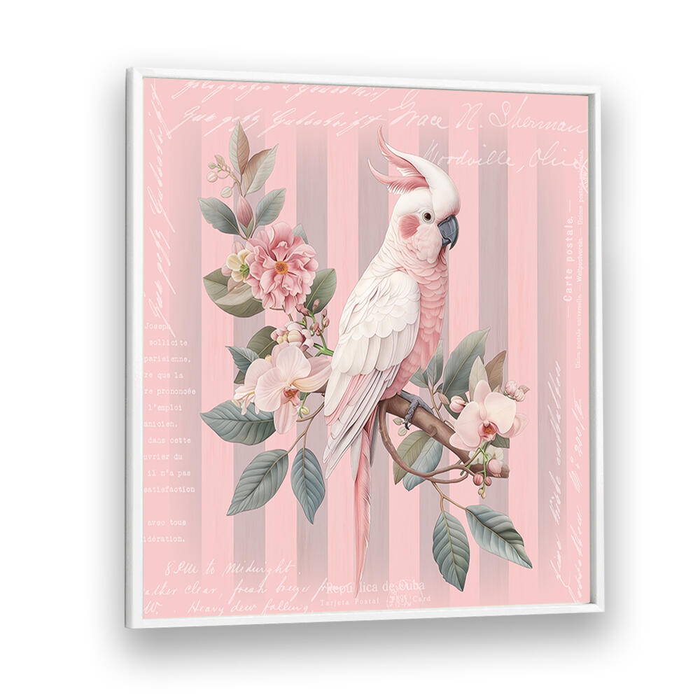 COCKATOO PASTEL PINK , ANIMAL PAINTINGS