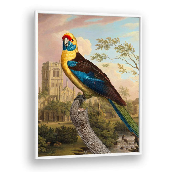 COLORFUL PARROT RUINS