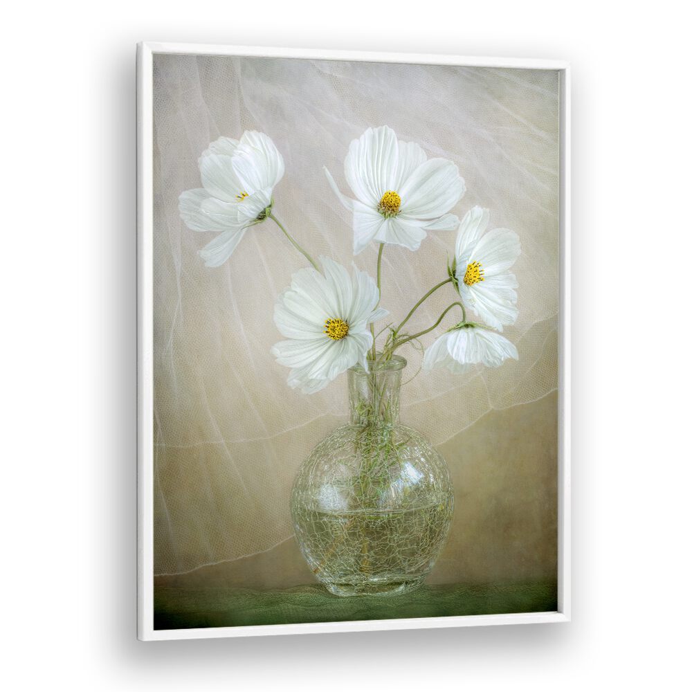 Bright white cosmos flowers in a vase, perfect for enhancing your space with COSMOS BREEZE, FLORAL FLOWER PAINTINGS.