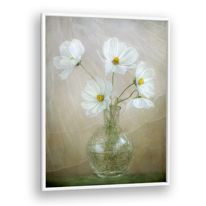 Bright white cosmos flowers in a vase, perfect for enhancing your space with COSMOS BREEZE, FLORAL FLOWER PAINTINGS.