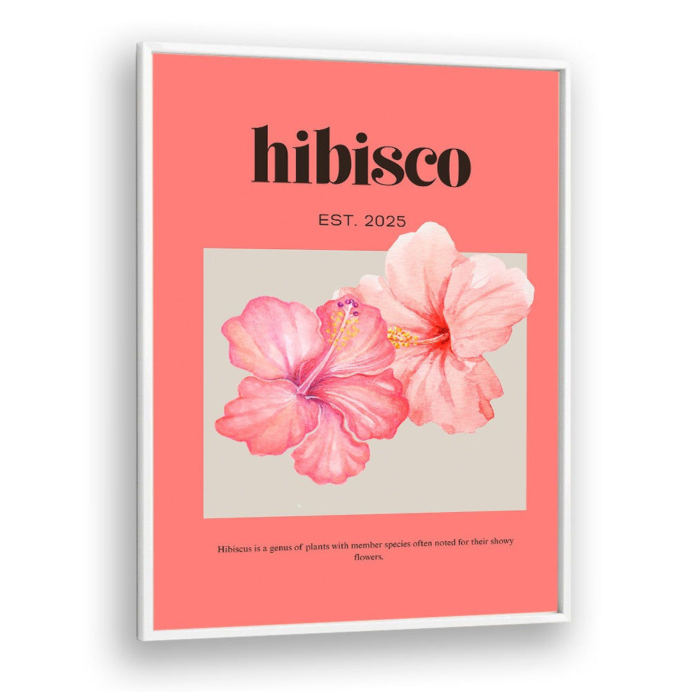 DELICATE PINK HIBISCUS
