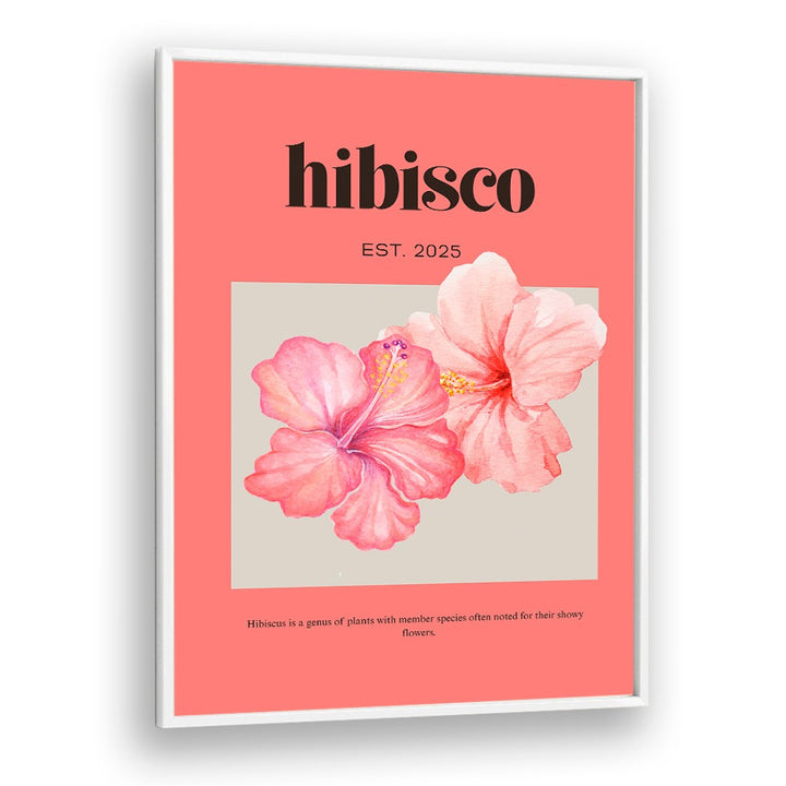 DELICATE PINK HIBISCUS
