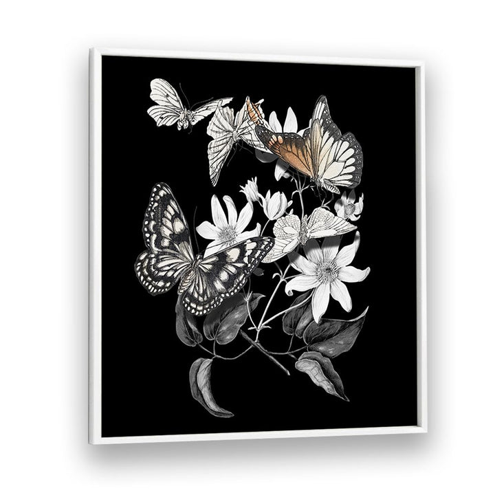 ELEGANT BOTANICAL BUTTERFLIES