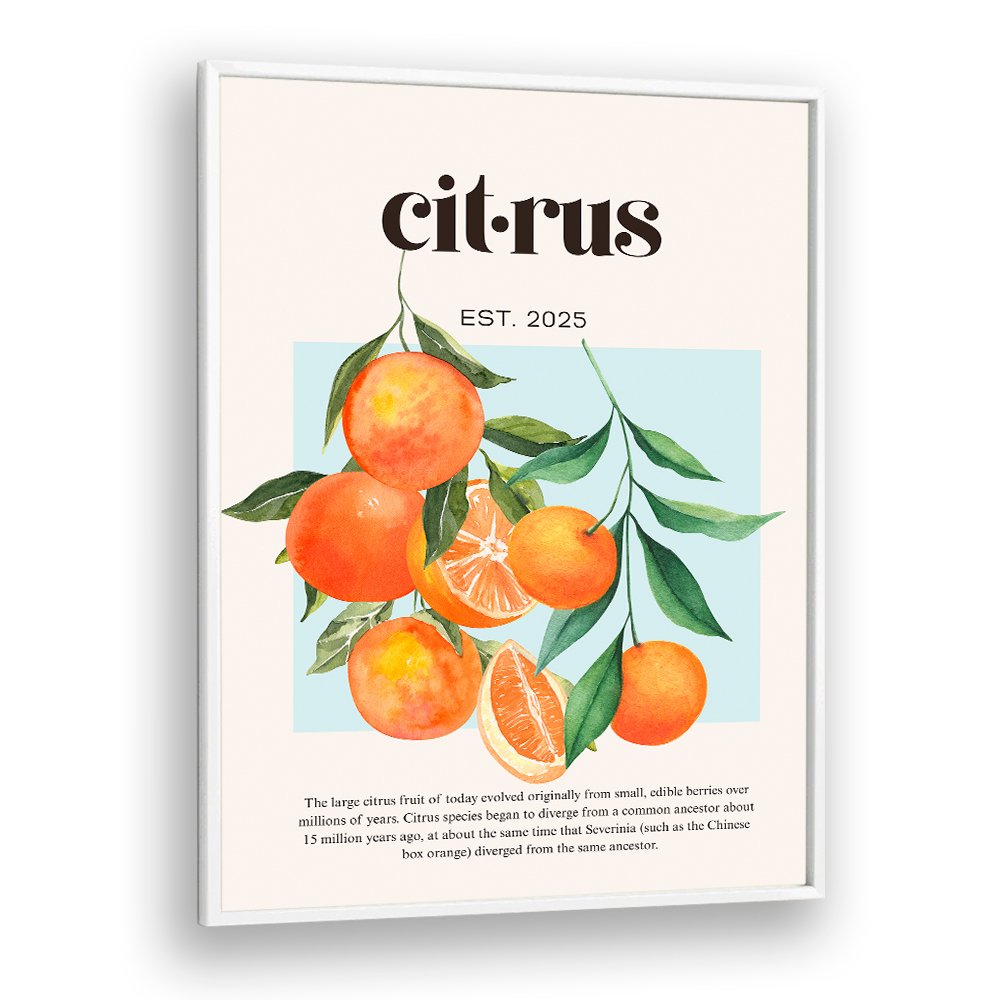 FRESH WATERCOLOR CITRUS