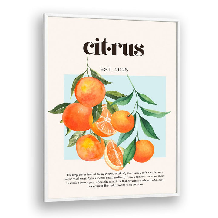 FRESH WATERCOLOR CITRUS