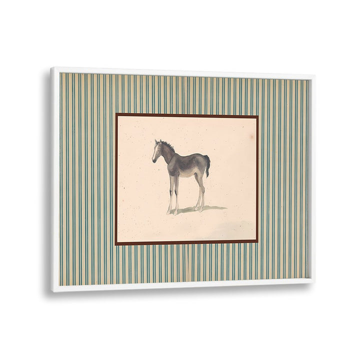 GENTLE FOAL PORTRAIT