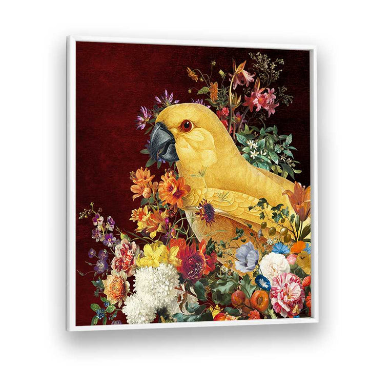 GOLDEN PARROT BLOOM