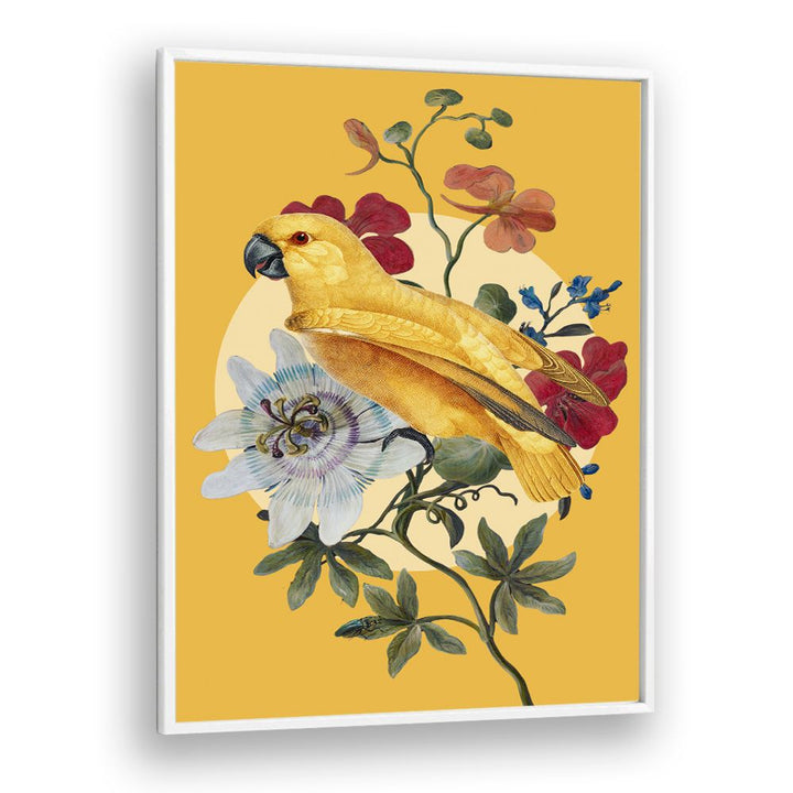 GOLDEN PARROT PASSION FLOWER