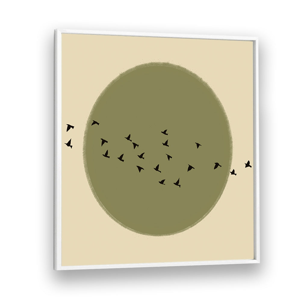 GRACEFUL BIRDS SOARING