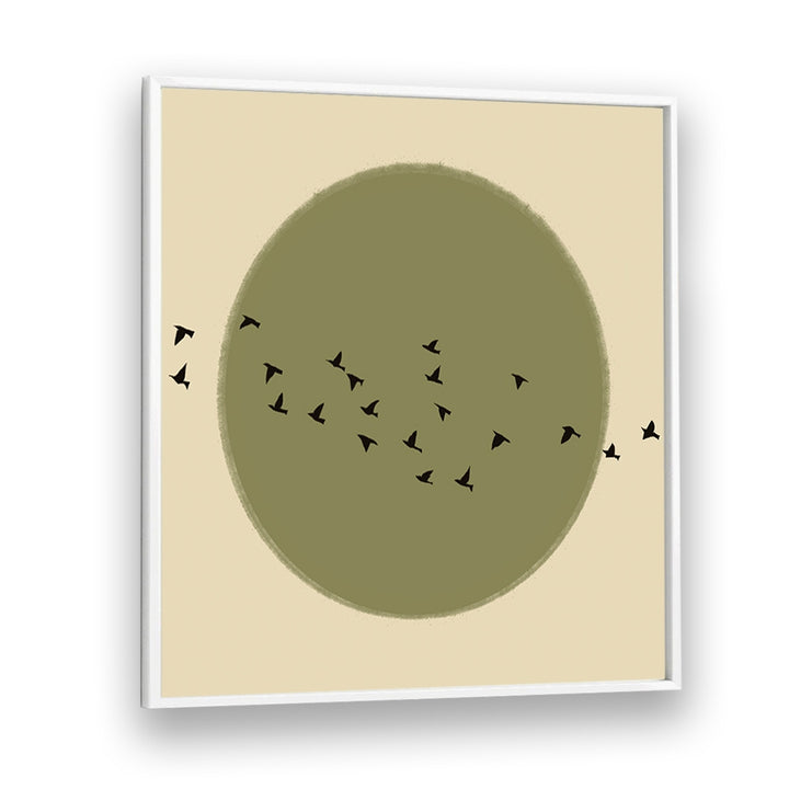 GRACEFUL BIRDS SOARING