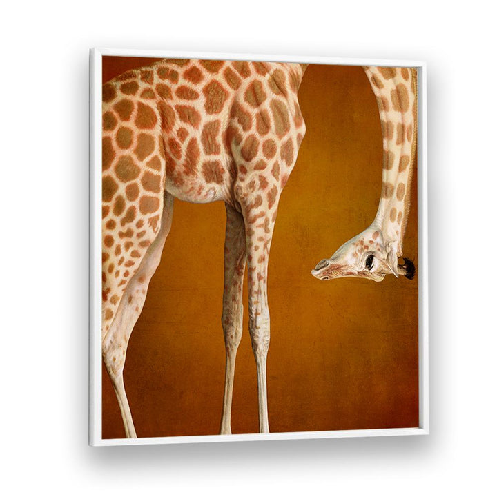 GRACEFUL GIRAFFE PORTRAIT