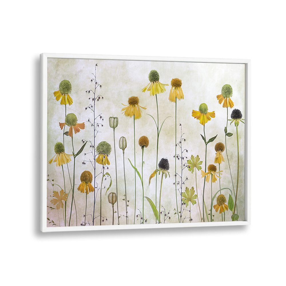 Bright and elegant HELENIUM, FLORAL FLOWER PAINTINGS add a modern touch to your home decor collection.