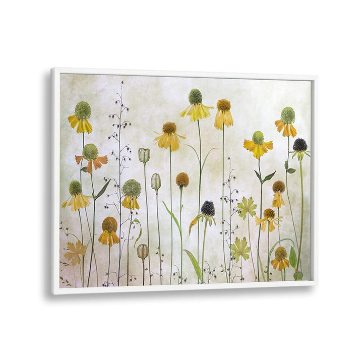 Bright and elegant HELENIUM, FLORAL FLOWER PAINTINGS add a modern touch to your home decor collection.