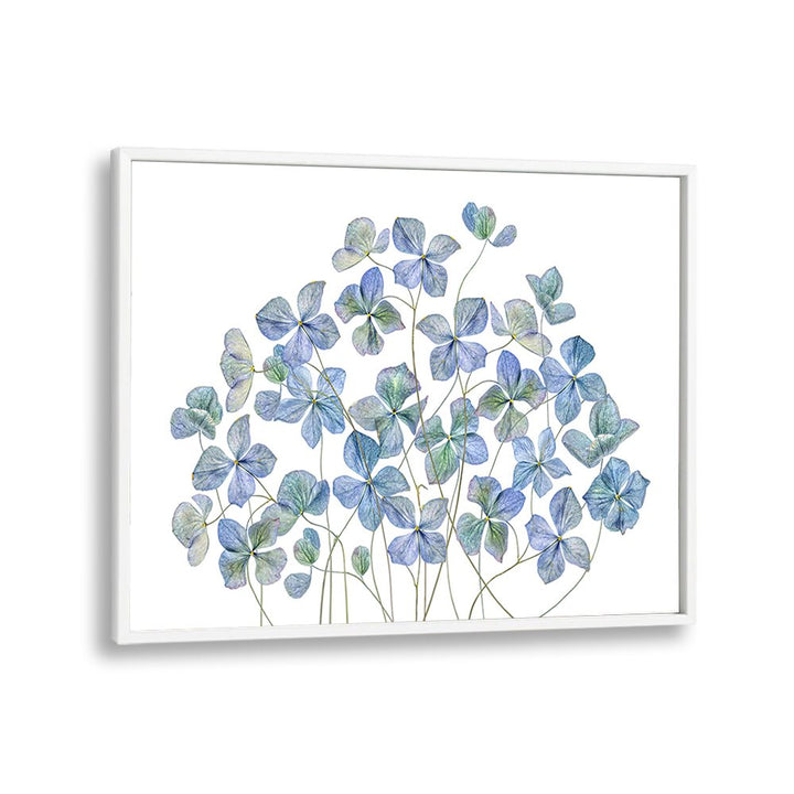 Elegant HYDRANGEA, FLORAL FLOWER PAINTINGS showcasing vibrant blooms to enhance any space's charm and decor.