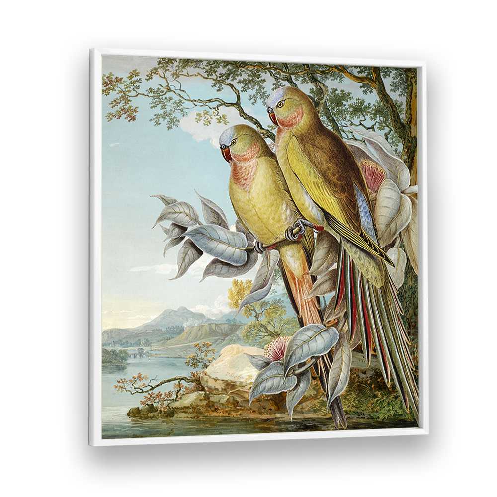 PARROTS IN TROPICAL LANDSCAPE