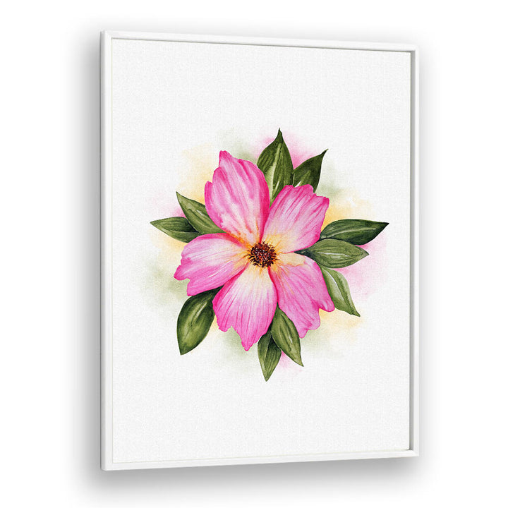 PAEONIA SUFFRUTICOSA , FLORAL FLOWER PAINTINGS