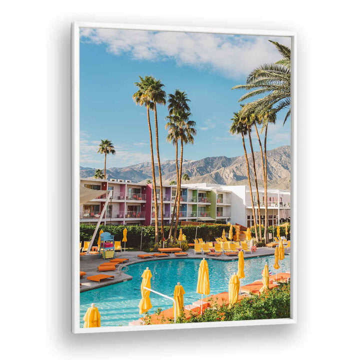 PALM SPRINGS SAGUARO , PHOTOGRAPHY PRINTS