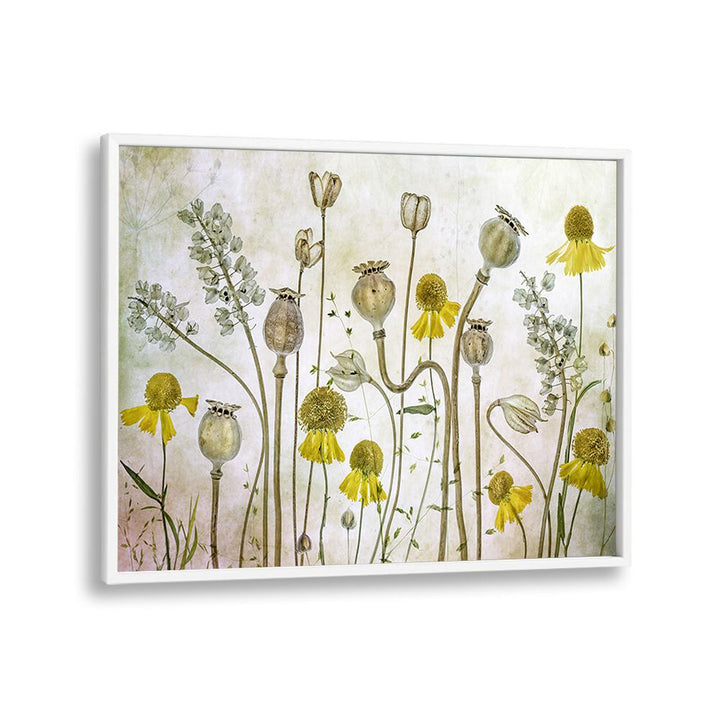 Vibrant POPPIES AND HELENIUM, FLORAL FLOWER PAINTINGS perfect for enriching home decor and special events.