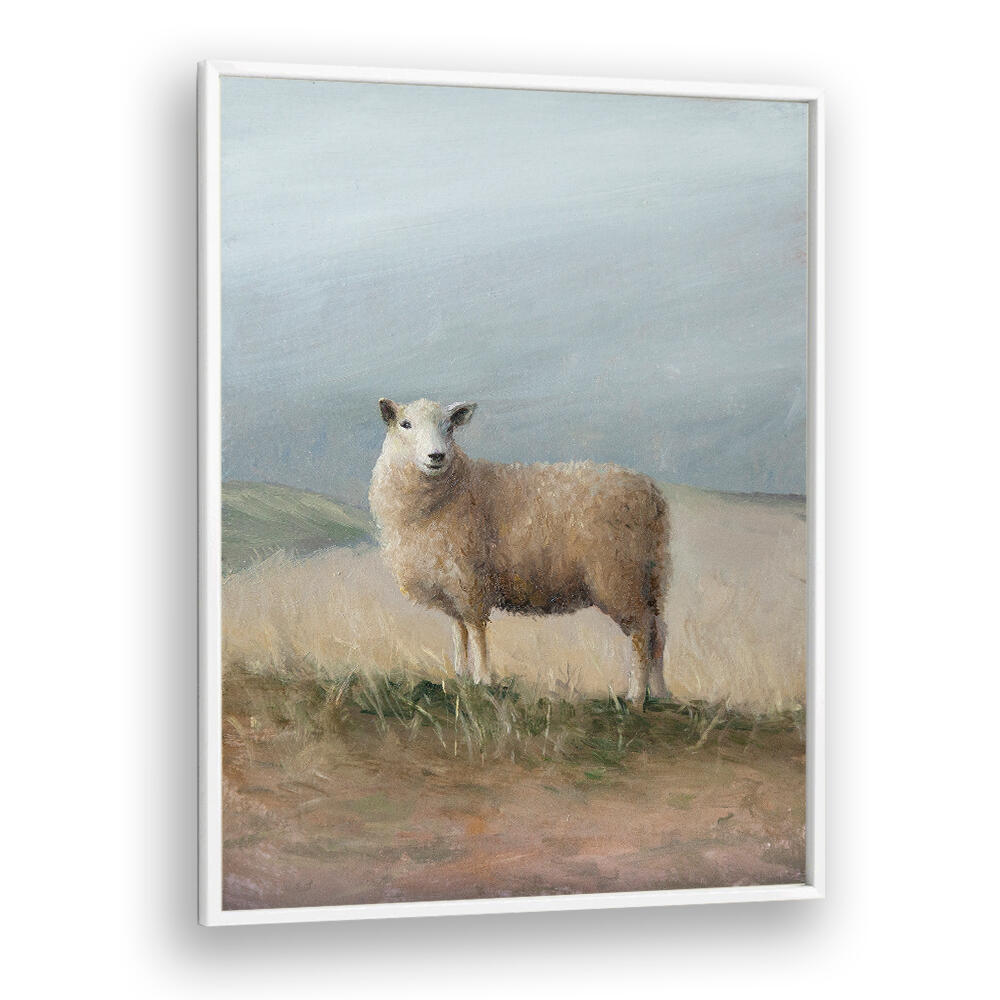 SHEEP STUDY