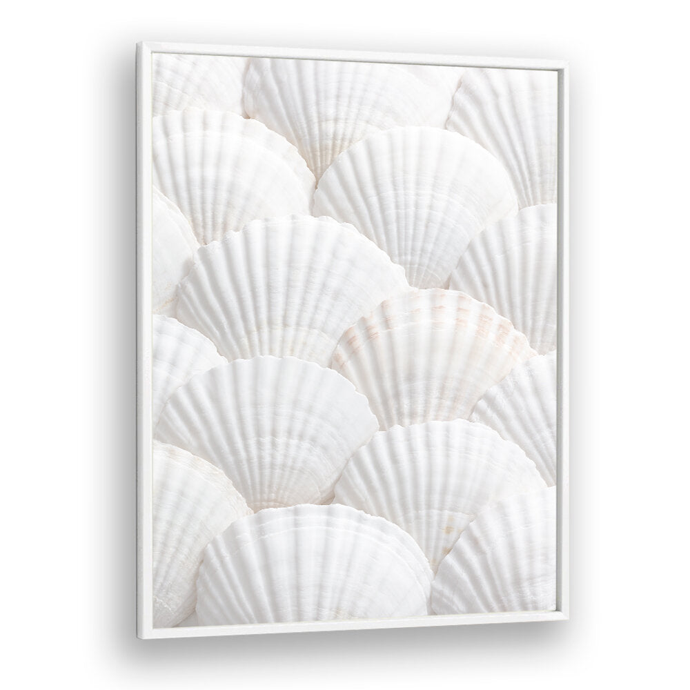 SHELLS III, BEACH PAINTINGS feature delicate white shells, perfect for creating a serene coastal ambiance in your home.