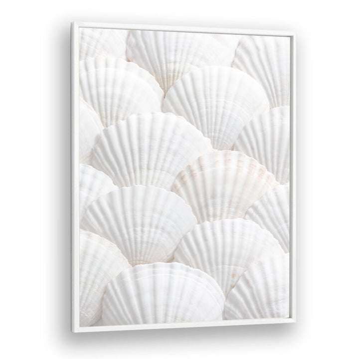 SHELLS III, BEACH PAINTINGS feature delicate white shells, perfect for creating a serene coastal ambiance in your home.