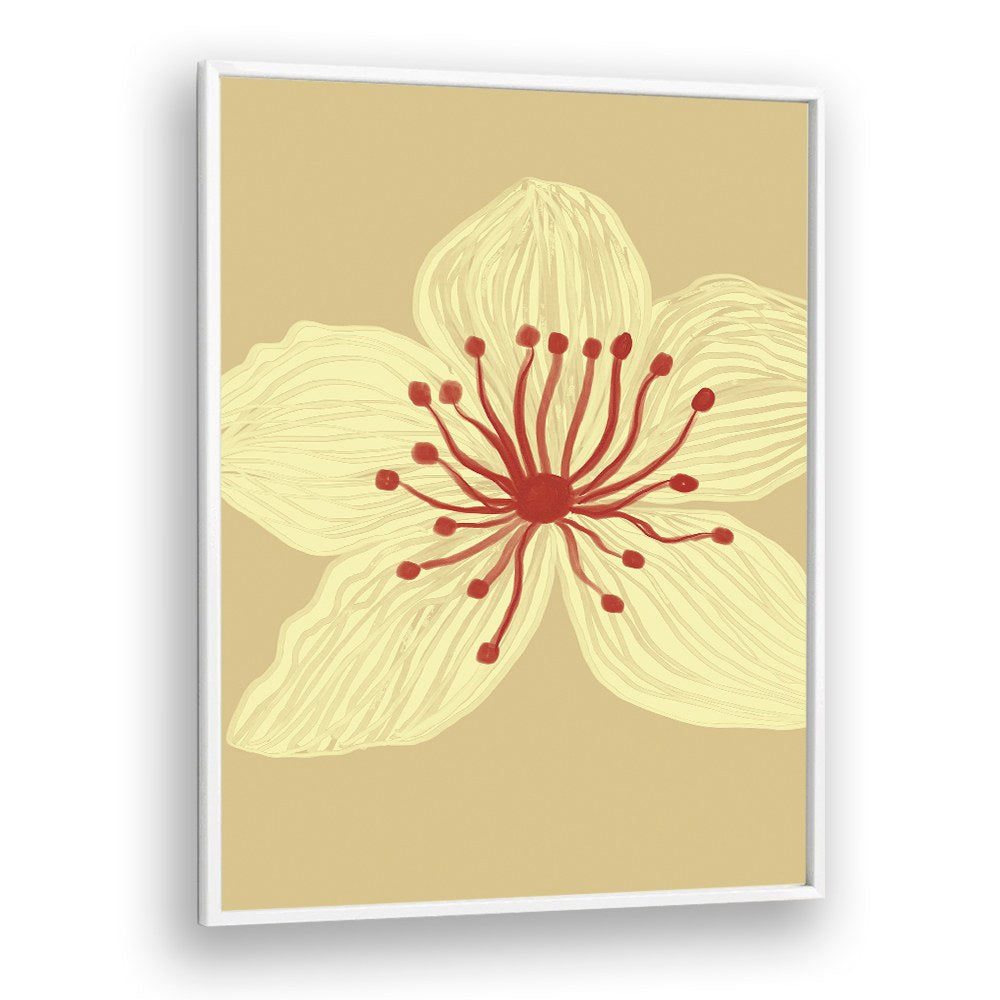 SOFT CREAM BLOSSOM
