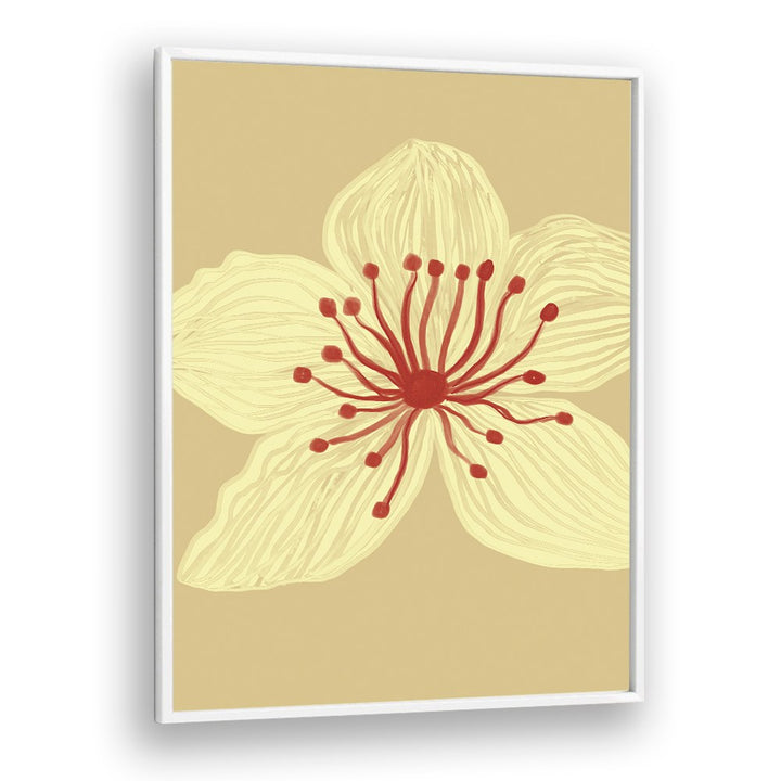 SOFT CREAM BLOSSOM