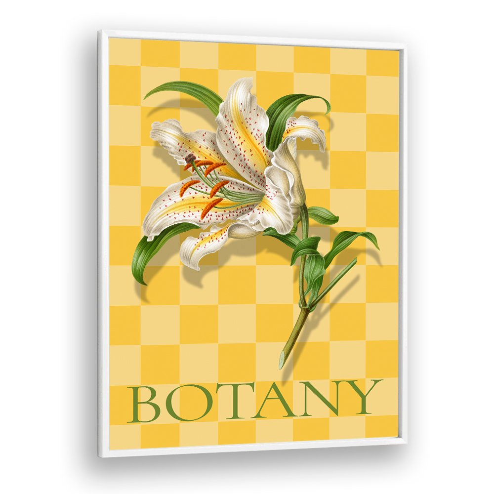 SPOTTED LILY BOTANICAL