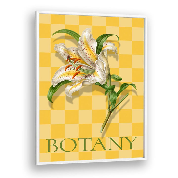 SPOTTED LILY BOTANICAL