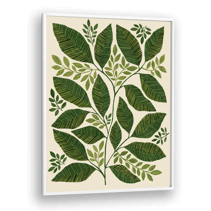 STRIPED LEAVES BRANCH