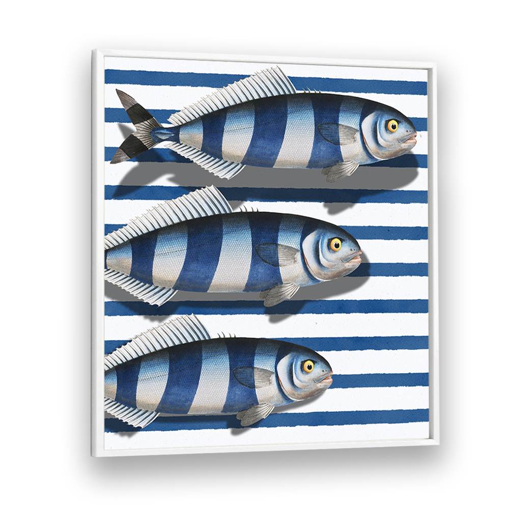 STRIPED OCEAN FISH