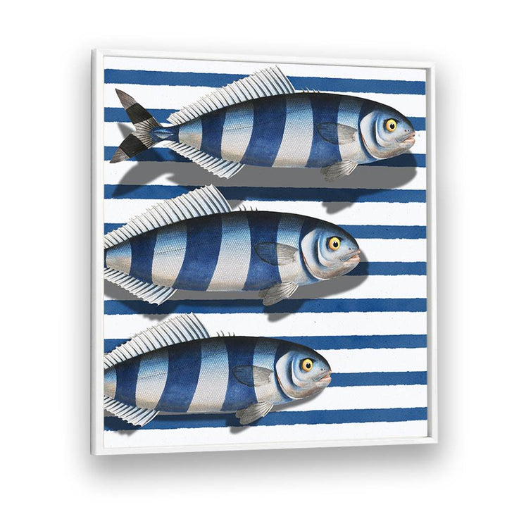 STRIPED OCEAN FISH