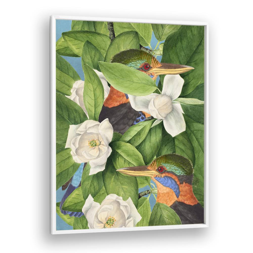 TROPICAL KINGFISHERS MAGNOLIAS
