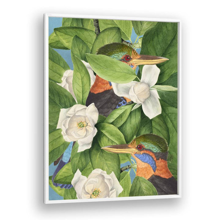 TROPICAL KINGFISHERS MAGNOLIAS
