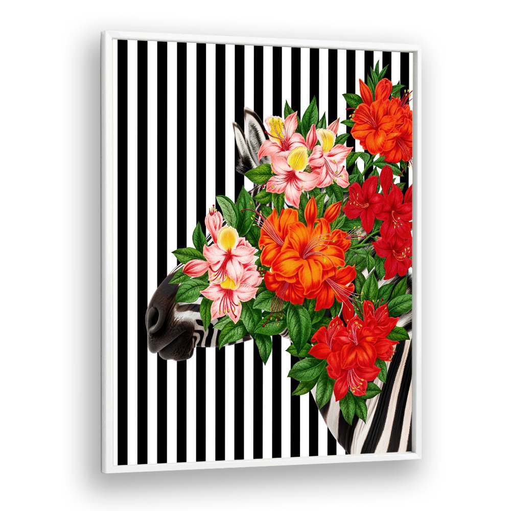 TROPICAL ZEBRA BLOOM