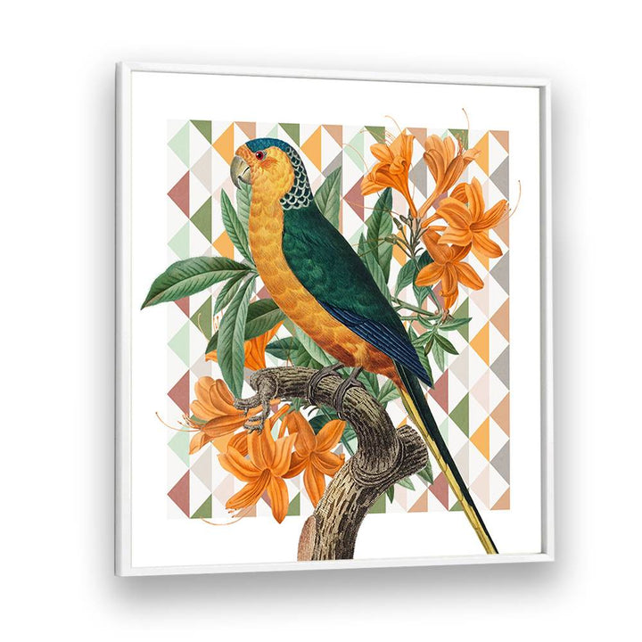 VIBRANT PARROT ILLUSTRATION