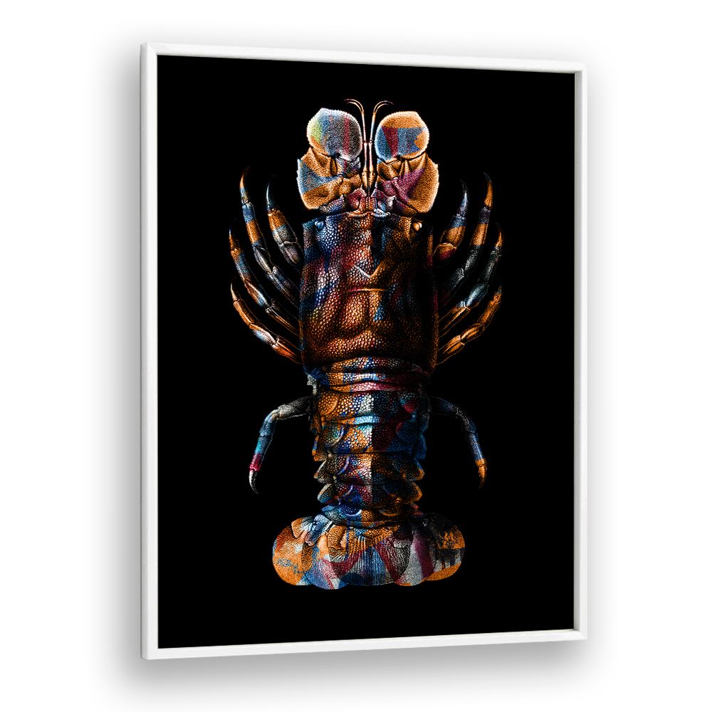 VIBRANT SPINY LOBSTER