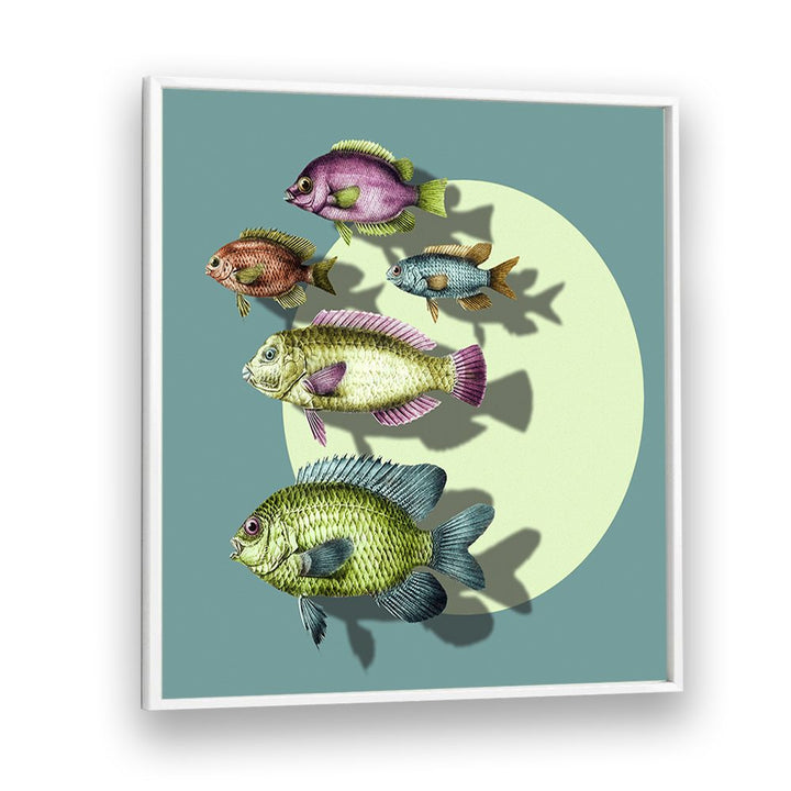 VIBRANT SWIMMING FISH