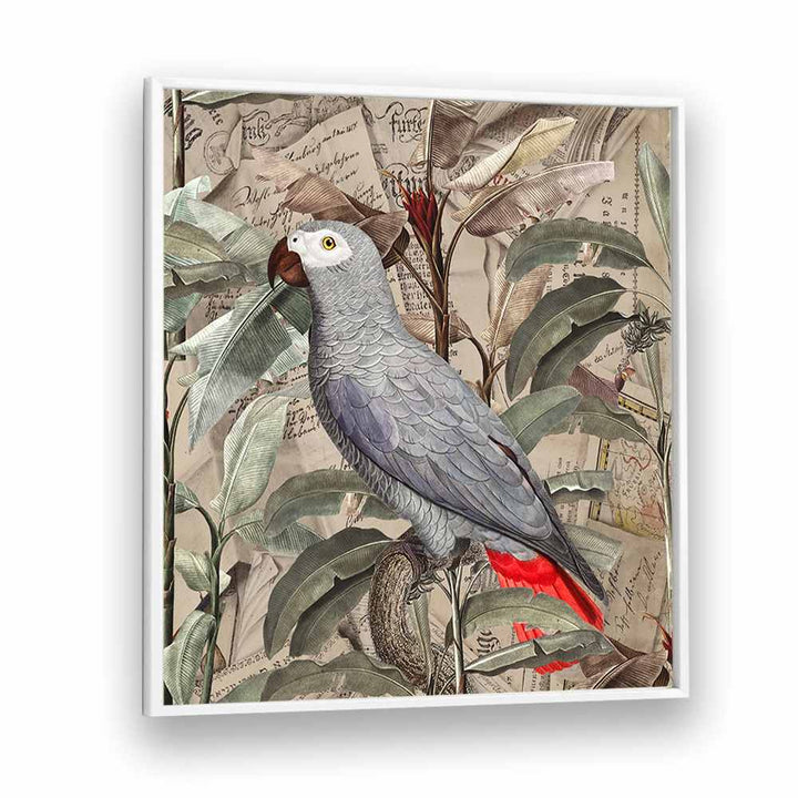 VINTAGE TROPICAL GREY PARROT